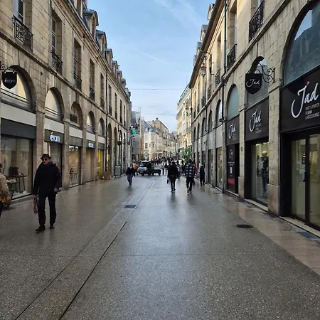 L'aparte Dijonnaise Hypercentre Darcy דירה דיז'ון