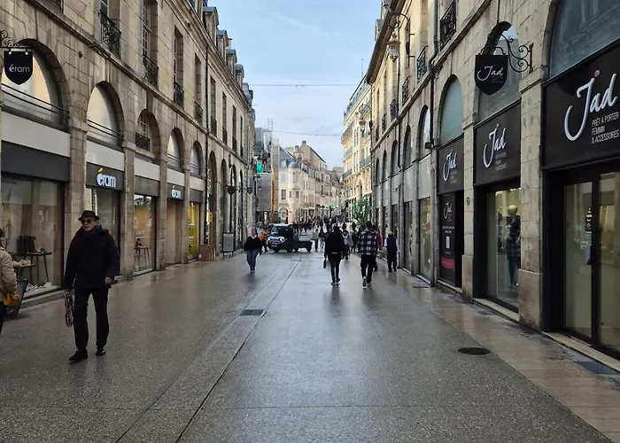 L'aparte Dijonnaise Hypercentre Darcy דירה דיז'ון